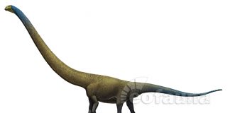 Seismosaurus by Scientific Research