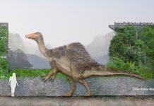Deinocheirus by SameerPrehistorica