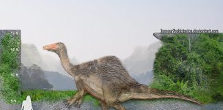 Deinocheirus by SameerPrehistorica