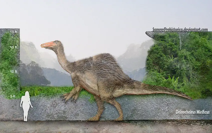Deinocheirus by SameerPrehistorica