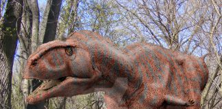 Majungasaurus by Frank Lode