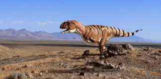 Majungasaurus by Hyperactive Grasshopper