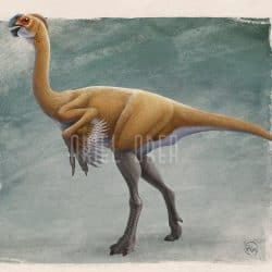 Gigantoraptor by Ariel