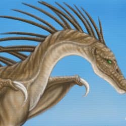 Amargasaurus by Hareguizer
