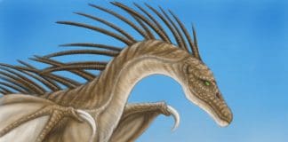 Amargasaurus by Hareguizer