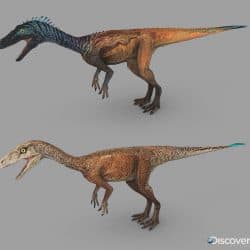 Eoraptor by Vlad Konstantinov