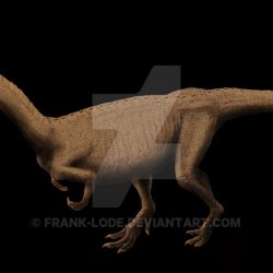 Eoraptor by Frank Lode