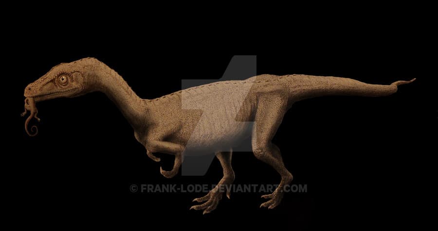 Eoraptor by Frank Lode