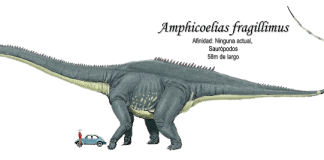 Amphicoelias by Pokemonaddict88192