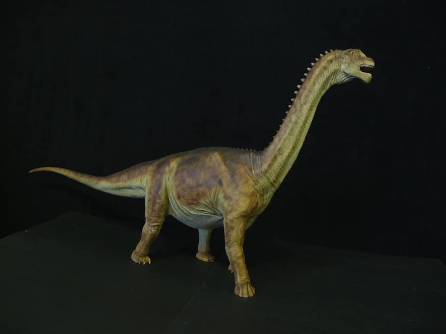 Camarasaurus by Martin Garratt