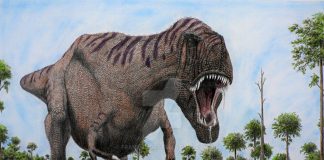 Daspletosaurus by Frank Lode