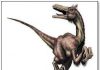 Velociraptor by Christopher Srnka
