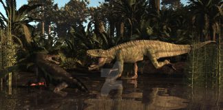 Postosuchus by Arthur J Dorety III