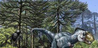 Yutyrannus by Blair