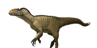 Yutyrannus by Andrey Atuchin