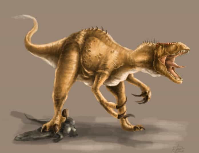 Mega Raptidon Megaraptor - Facts and Pictures