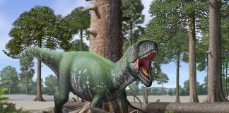 Megaraptor by Fine Art