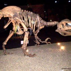 Megaraptor by Moonscream