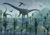 Diplodocus by Mark A Stevenson