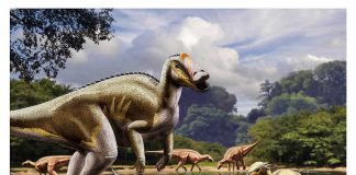 Maiasaura by Alain Beneteau