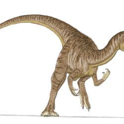 Cryolophosaurus by Sam