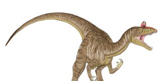 Cryolophosaurus by Sam