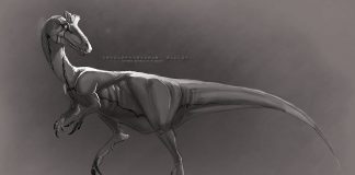 Cryolophosaurus by Pemzini