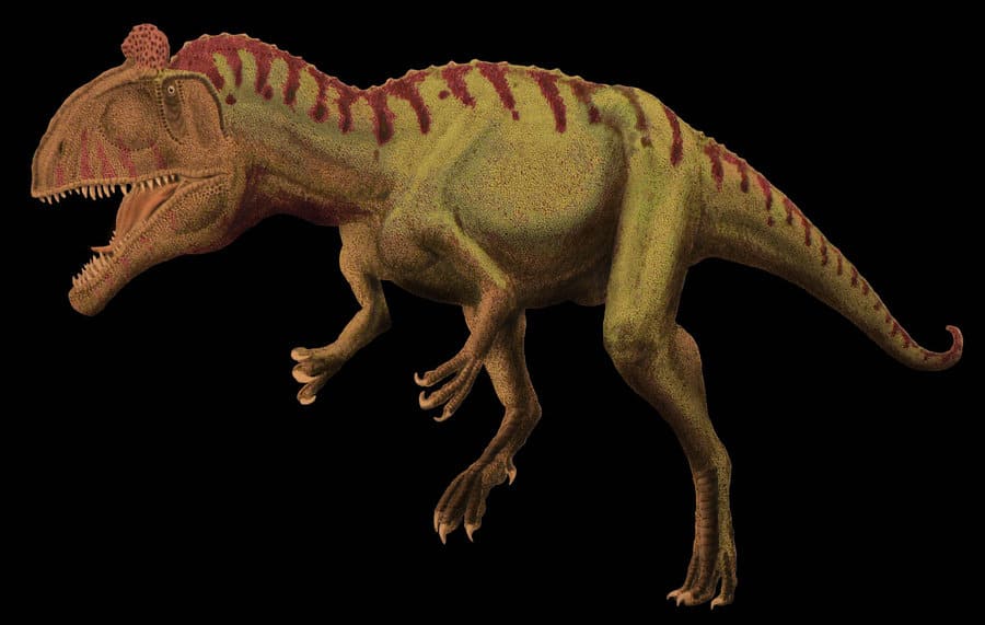 Cryolophosaurus by Frank Lode