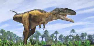 Mapusaurus by Jk