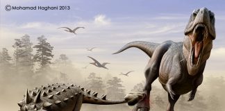 Euoplocephalus by Mohamad Haghani