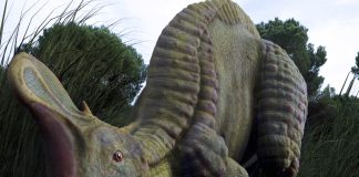 Lambeosaurus by Christopher Vaughan