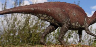 Lambeosaurus by Spike Ekins