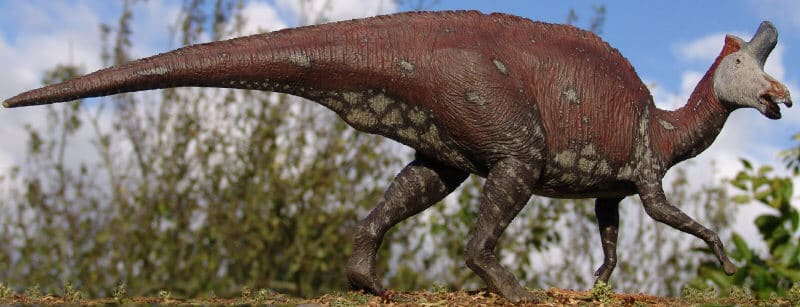 Lambeosaurus by Spike Ekins