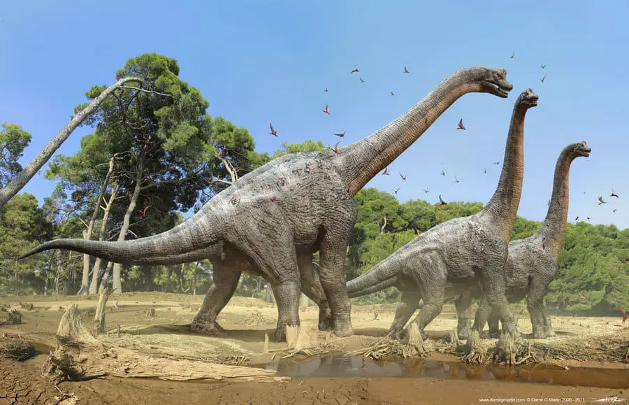 Brachiosaurus by Damir