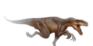 Herrerasaurus by Jonatan Iversen-Ejve