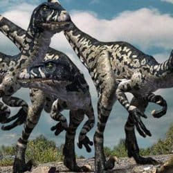 Dromaeosaurus by Doruk