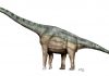 Brachiosaurus by Sergio Perez
