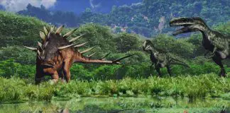 Kentrosaurus by Federico