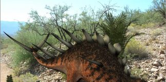 Kentrosaurus by Jon Laughlin