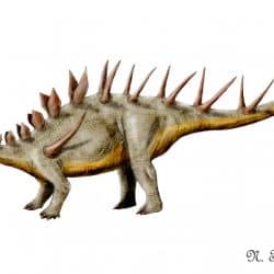 Kentrosaurus by Nobu Tamura