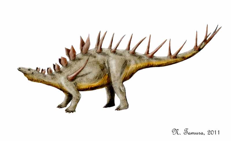 Kentrosaurus by Nobu Tamura
