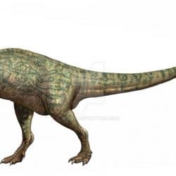 Metriacanthosaurus by Sergey Krasovskiy