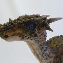 Dracorex by Martin Garratt