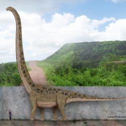 Mamenchisaurus by SameerPrehistorica