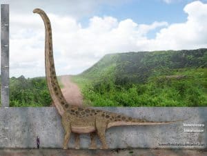 Mamenchisaurus by SameerPrehistorica