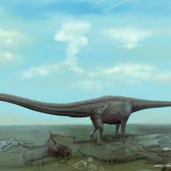 Mamenchisaurus by Roman Ilyin