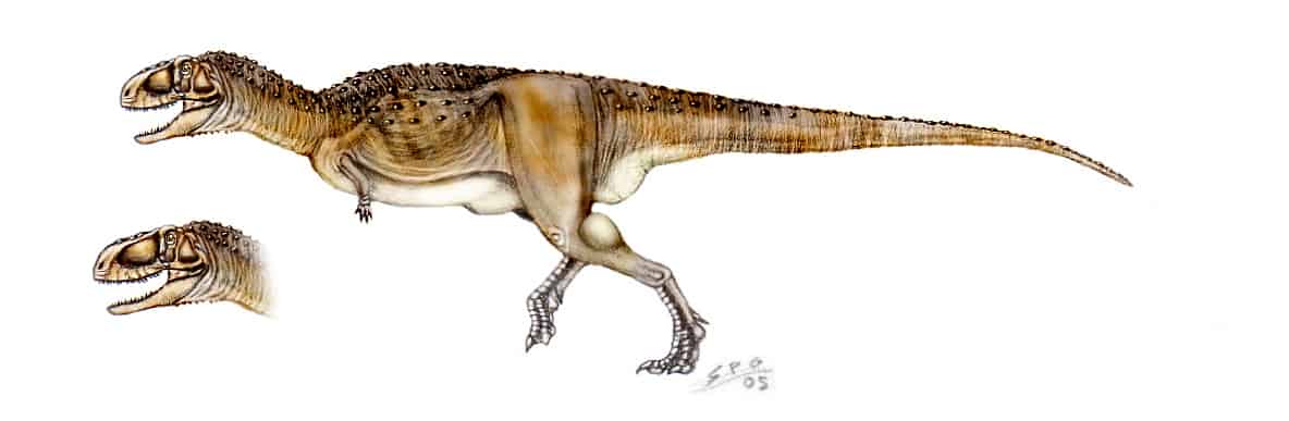 Abelisaurus by Sergio Perez