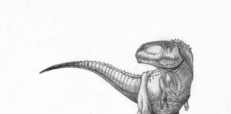 Abelisaurus by Martin Colombo