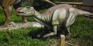 Hadrosaurus by Daniel Hagerman