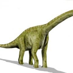 Brachiosaurus by Nobu Tamura